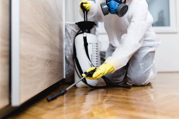 Best Pest Prevention Services  in Lillian, AL