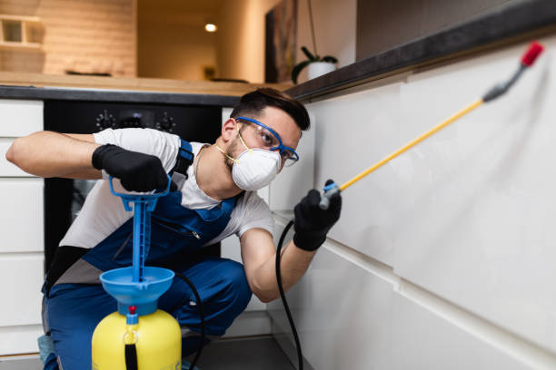 Best Cockroach Control Services  in Lillian, AL