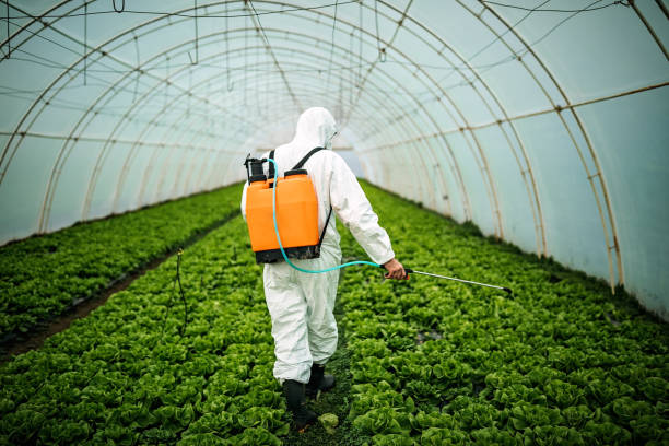 Best Pest Control Near Me in Lillian, AL