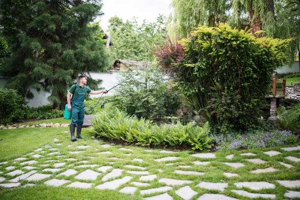 Best Wasp Removal Services  in Lillian, AL