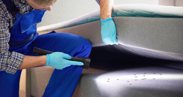 Best Rat Extermination Near Me  in Lillian, AL