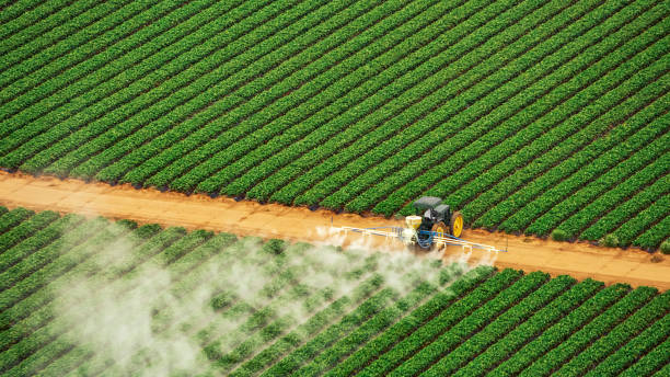 Best Ant Control Services  in Lillian, AL