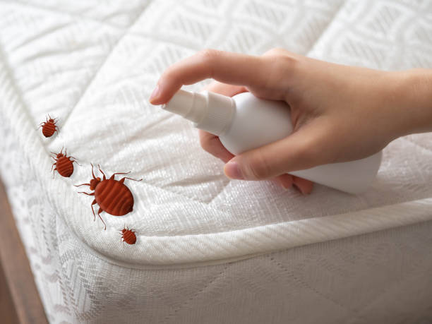 Professional Pest Control in Lillian, AL