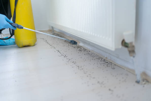 Best Affordable Pest Control Services  in Lillian, AL