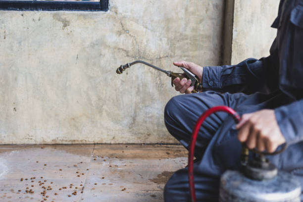 Best Local Pest Control Services  in Lillian, AL